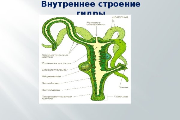 Вход на кракен зеркало